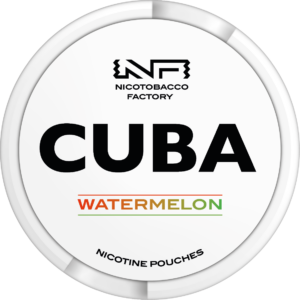Cuba White Watermelon A